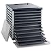 LEM Products 1153 Food Dehydrator (10-Tray)