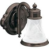 garnier light oil control fairness cream price Bronce aceitado Moen YB9861ORB Waterhill Single Globe Bath Light, Oil Rubbed Bronze by Moen