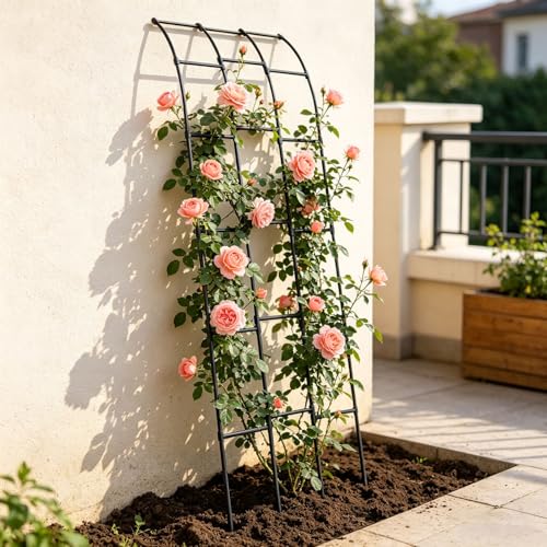 Support pour vignes et fleurs arche de jardin en métal murale