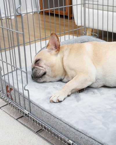 KSIIA Orthopädisches Hundebett Mittelgroße Hunde, Hundekorb Bezug abnehmbar waschbar, Hundesofa Wasserdicht mit Rand, rutschfeste Unterseite, Grau, 73x45x15cm