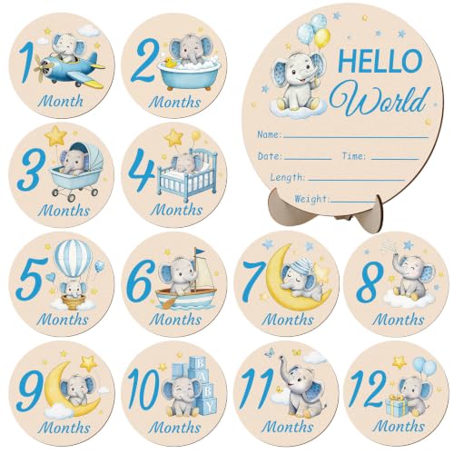 Image of Wooden Baby Monthly Milestone Cards Double Sided Baby Birth Sign Elephant | Hello World Milestone Sign Discs Pregnancy Baby Shower Gifts for Newborn Photo Props