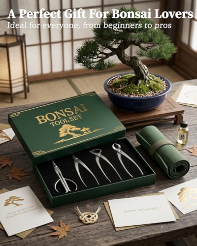 Set de 4 Piezas de Herramientas Bonsai Acero Inoxidable miniatura 2