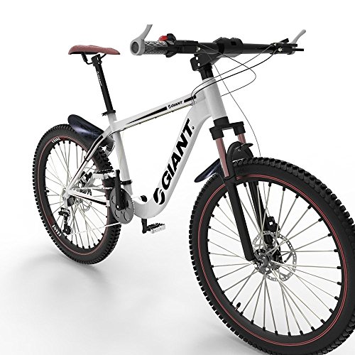 fat bike 29 inch