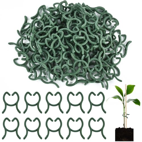 DIELIANHUA 100 PCS Clips para Plantas, Pinzas para Plantas, 2 * 2.6cm Clip de Jardín Reutilizable, Abrazaderas para Plantas, Clips de Soporte para Plantas, Clips para Plantas de Jardin