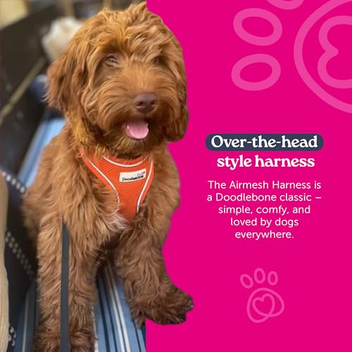 Harnais Airmesh Doodlebone léopard rubis léger et respirant pour chien