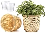 Fingers Craft Natural Plant Pot Indoor, 6 inch Set of 2 Small Medium Flower Pots, Bamboo Planter Pot