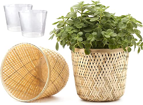 Fingers Craft Natural Plant Pot Indoor, 6 Inch Set Of 2 Small Medium Flower Pots, Bamboo Planter Pot For Plant, Succulent Pot, Handmade Decorative Pot Cover (6 Inch, Natural Mix) #TOP2
