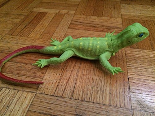 Lizard with Hard Amphibious Texture 13" long.Assorted colors