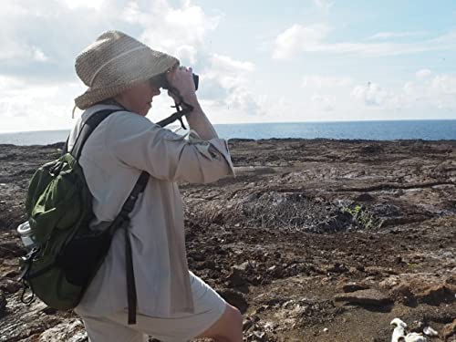 Oberwerk Binóculo esportivo HD II 10 x 42 – binóculo profissional/caminhada/ao ar livre/observação d