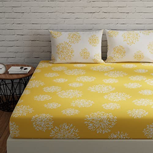 HUESLAND by Ahmedabad Cotton 144 TC Bedsheet for King Size Bed with 2 Pillow Covers | 108 by 108 inch