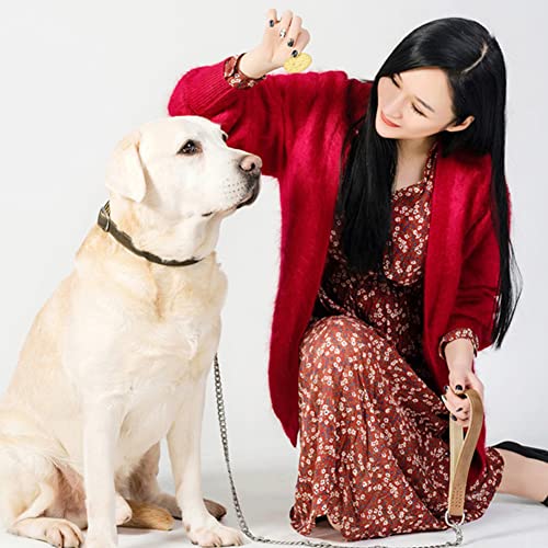 Leather Martingale Dog Collars, Padded Dog Training Collar Half-Check Stainless Steel Chain Anti-Escape No Pull Choke Collar, Premium Quality Limited Chain Cinch Collar For Small Medium Large Dogs #TOP3