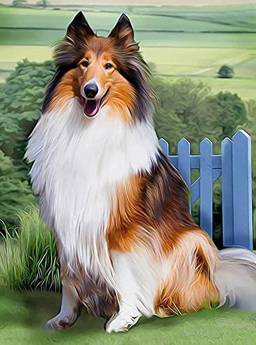 Zeyevan DIY Diamond Painting Perro Por Número Kit, 5D Punto De Cruz Diamante Pintura Dog Bordado Artes Kit De Punto De Cruz Para Decoración De La Pared Del Hogar 30x40 cm Cover
