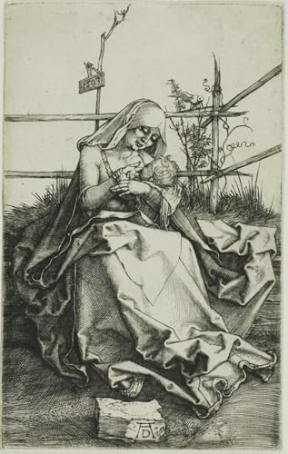 Murale Tableaux Toile Albrecht Dürer Dame sur une berge herbeuse Poster Déco Art 60x90
