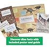 KiwiCo Dinosaur Fossil Dig Kit, STEM Paleontology Science Set for Kids Ages 6+, Excavate and Build Skeleton, Facts Poster