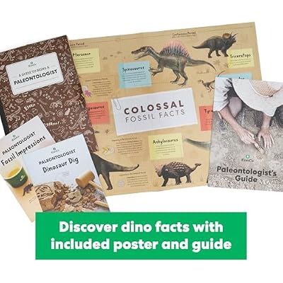 KiwiCo Dinosaur Fossil Dig Kit, STEM Paleontology Science Set for Kids Ages 6+, Excavate and Build Skeleton, Facts Poster