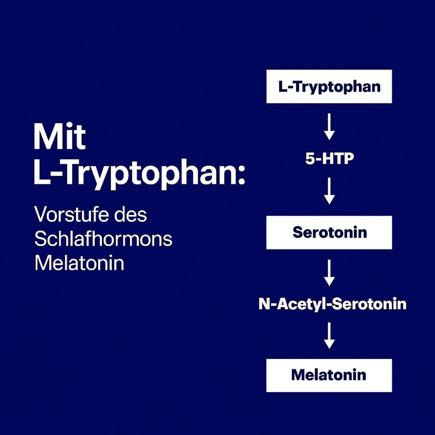 NACHTMAGIE® Kapseln für deine Abendroutine - mit Magnesiumglycinat, Magnesiumtaurat und L-Tryptophan - Hormonfrei: Sicher zur Langszeitaufnahme (200 Kapseln)