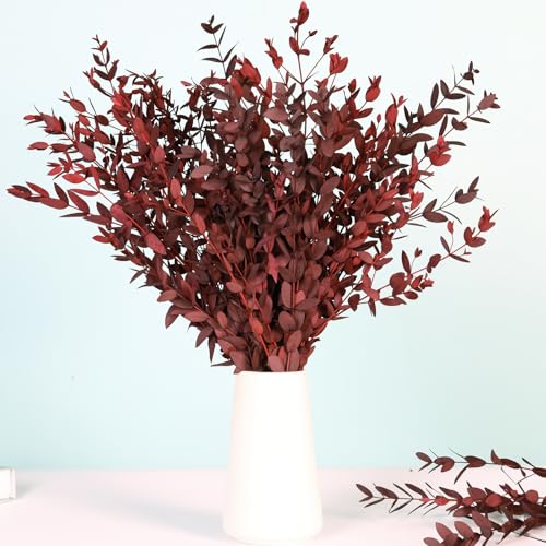 Dried Eucalyptus Leaves Stems, Preserved Real Eucalyptus Plant, Dried Willow