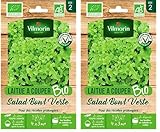 VILMORIN - Laitue à Couper Salad Bowl Verte BIO - Récolte 4 Saisons - Variété Très Product...