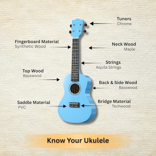 Image of Vault UK-003 Concert Colourful Ukulele 23 Inch with Gig Bag - Blue