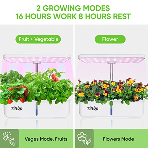 TILTOP Hydroponics Growing System 8 Pods Indoor Herb Garden with LED Grow Light, Height Adjustable Plant Germination Kit Indoor Grow Kit Countertop Garden with Automatic Pump & Timer Black - Image 5