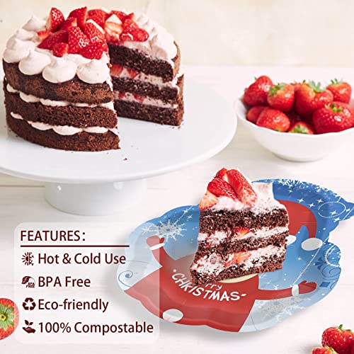 Ephyo 50 Count Christmas Paper Plates Disposable Dinner Party Oval Santa Plates For Dessert Cookies Appetizer Salad Merry Christmas Holiday Dinnerware Party Supplies Blue Snowflake #TOP3