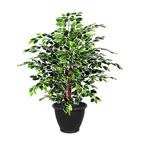 Vickerman 4' Artificial Variegated Ficus Extra Full Bush, Brown Plastic Container.