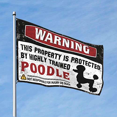 Bandera de verano para dormitorio decoración juvenil con aviso divertido de propiedad protegida 2