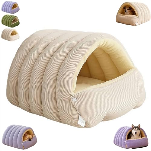 _炩gLpAxbhAO\Ő􂦂NbVt̎pybgpQ܁A~ߒALƏ^̂߂̋Sn̗ǂ(Crema,L)