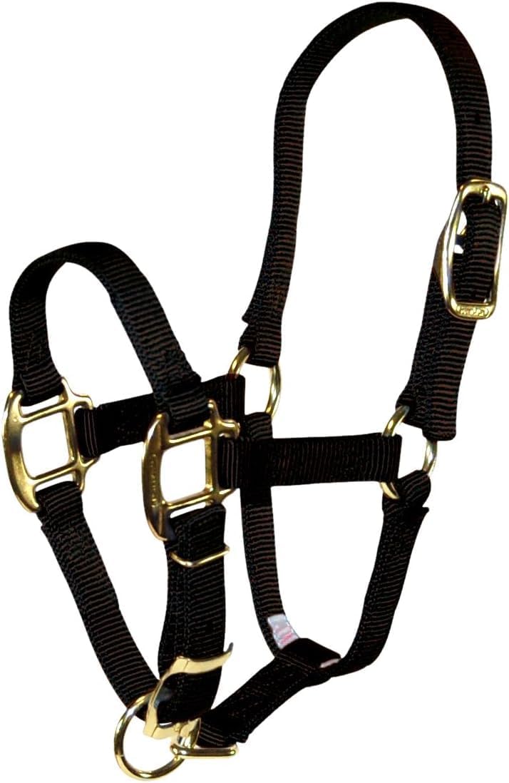 Quality Horse Halter, 3/4" Triple Ply Nylon, Adjustable Chin Strap, Pony or Mini Donkey, 100-200 lbs, Black
