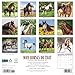 Why Horses Do That 2026 12 X 12 Wall Calendar