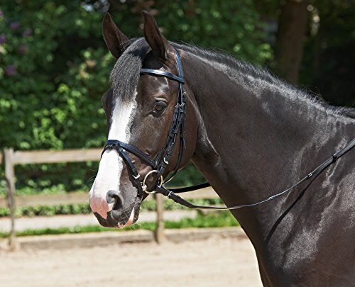 Trense EASY Pony HOCHWERTIGER KUNSTSTOFF mit Polyestereinlage ENGLISCH-KOMBINIERT