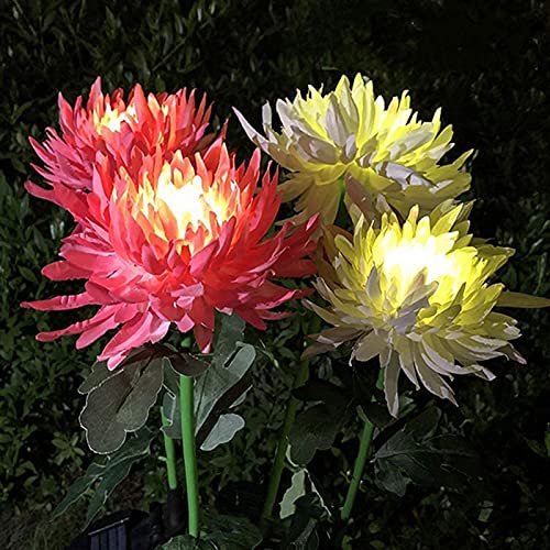 Lampes solaires décoratives de fleurs extérieur et piquet chrysanthème jardin
