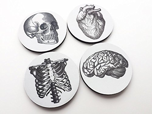Anatomy Coasters Gift Set of 4 or 6 Flexible Mousepad or Hardboard Brain Skull Anatomical Heart Doctor Nurse Graduation