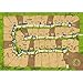Carcassonne Board Game Big Box (BASE GAME & 11 EXPANSIONS) | Family Board Game | Board Game for Adults and Family | Medieval Strategy Board Game | Ages 7 and up | 2-6 Players | Made by Z-Man Games