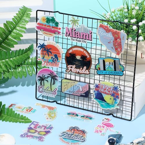 Imanes decorativos para refrigerador set 30 piezas Florida miniatura 4