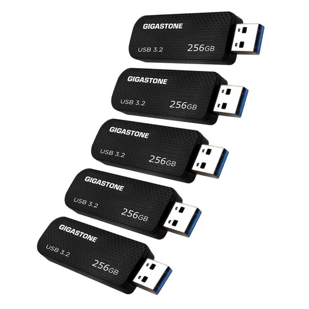 Amazon.co.jp: GIGASTONE 256GB Flash USB メモリ (5個セット