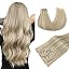 S-#17A/60A Ash Blonde Highlighted Platinum Blonde