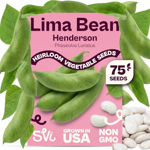 SVI 75 Henderson Lima Bean Seeds (Phaseolus lunatus) Bush Baby Lima Beans Seed Packets Green Beans Heirloom Vegetable Seeds for Outdoor Home Garden Containers