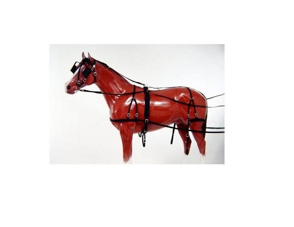 15 Best Horse Horse Driving Equipment 2023 Reviews & Ratings