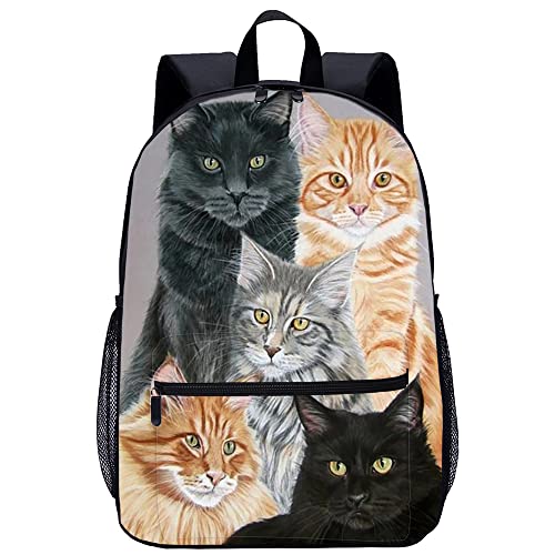 Sac à dos chat grande capacité 45x30x15cm avec compartiments renforcés