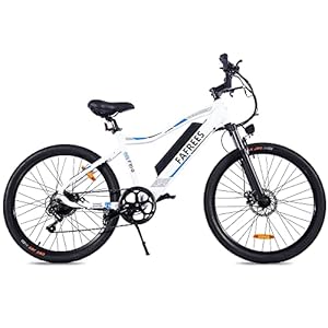 [Officieel ] Fafress F100 E-bike mountainbike 26 inch heren e-bike dames met 48 V/11,6 A accu elektrische fiets 7…
