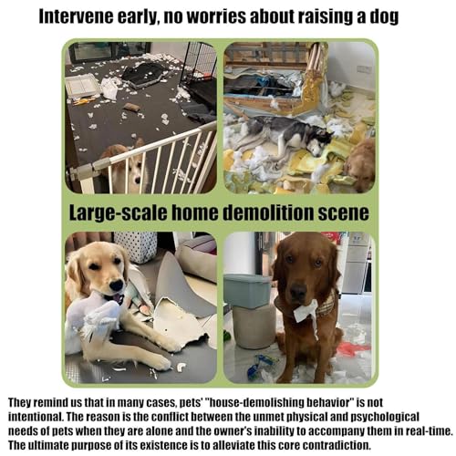 Opilroyn Kauspielzeug für Hunde, Anti- Knochen mit Quietschen, Plüschtier in Vogelform, für Wohnzimmer, Terrasse, Garten, Strand, kleine und große Rassen-4