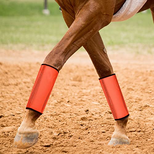 Image of Jexine 12 Fly Boots for Horse Set of 12 Loose Breathable Mesh Horse Fly Sheets Protective Horse Leg Wraps Leggings for Preventing Flies and Mosquitoes Bites (Pink, Blue, Orange)