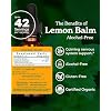 Herb Pharm Lemon Balm, Alcohol-Free: Certified Organic, Nervousness & Over-Excitement Support, Fast-Absorbing & Sugar-Free Calming Extract, Made with Lemon Balm Herb, Liquid Glycerite, 1 oz