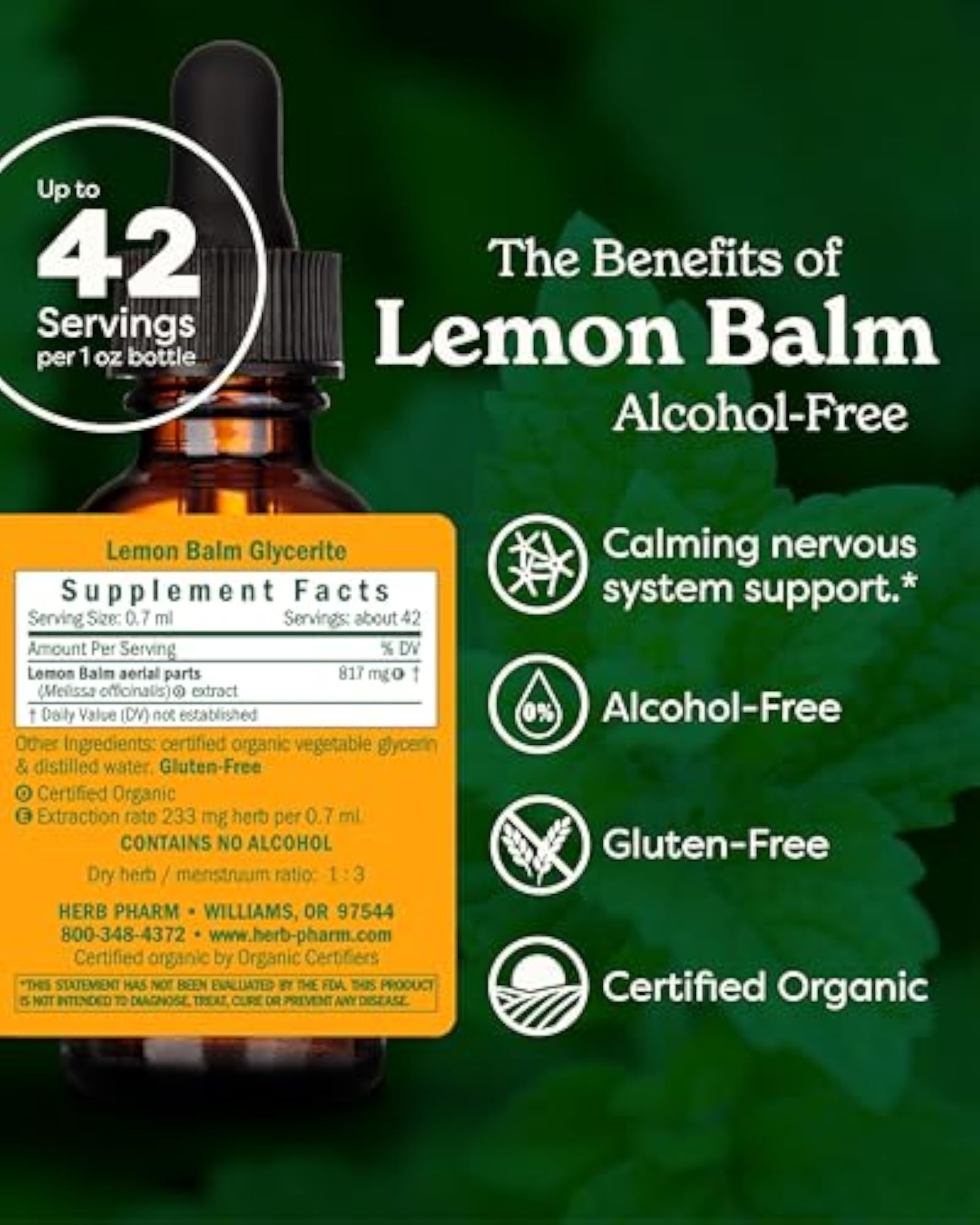 Lemon Balm Glycerite, Calming Nervous System Support