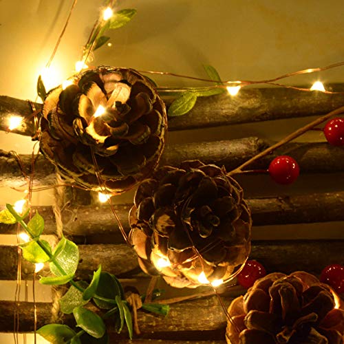 Abkshine Battery String Lights, 4 Pack 50 Led Warm White Battery-Powered Mini Christmas Fairy Lights, Battery Operated Led Lights For Christmas, Party, Wedding, Centerpiece, Bedroom Decoration #TOP7