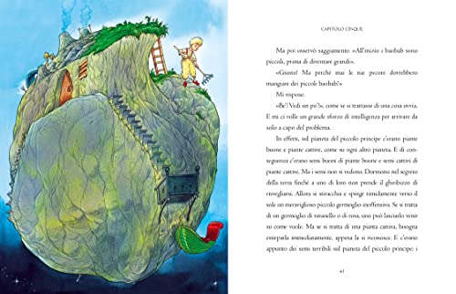 Il Piccolo Principe - 2