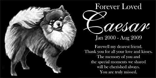 Lazzari Collections Personalized Pomeranian Pet Memorial 12"x6" Engraved Black Granite Grave Marker Head Stone Plaque CAE1