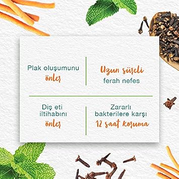 Himalaya Since 1930 Nane Ferahlığı Bitkisel Diş Macunu, Florürsüz, Parabensiz, Vejeteryan, Ferah Nefes, 75 ml 2li paket