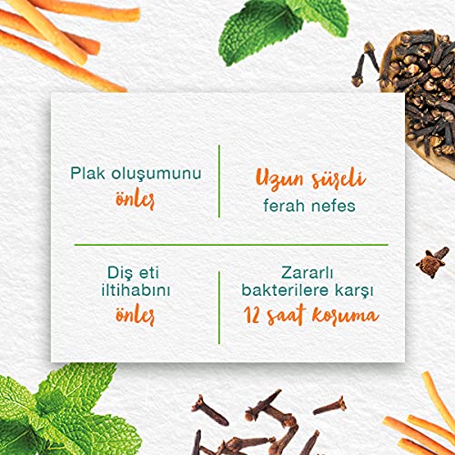 Himalaya Since 1930 Nane Ferahlığı Bitkisel Diş Macunu, Florürsüz, Parabensiz, Vejeteryan, Ferah Nefes, 75 ml (3 paketi)